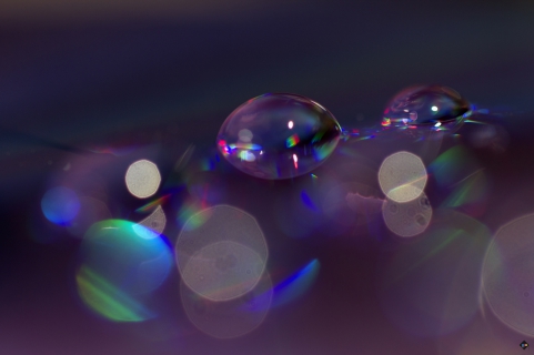Drops
