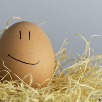 Egg